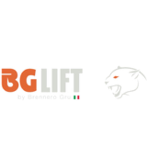 Bg Lift S.r.l Cavaion Veronese (VR)